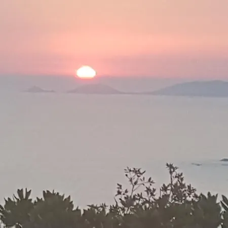 Gasparini Pietrosella